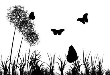 dANDELIONS SILUETAS