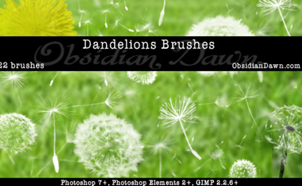 Pinceles de Dandelion Diente de leon BRUSHES