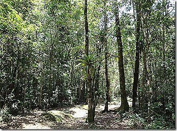 Serrinha do Alambari nov 10 074