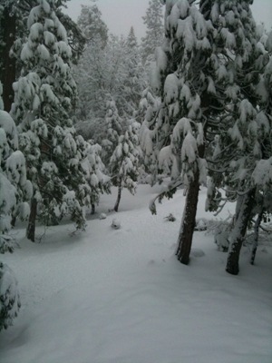 snowy-cabin