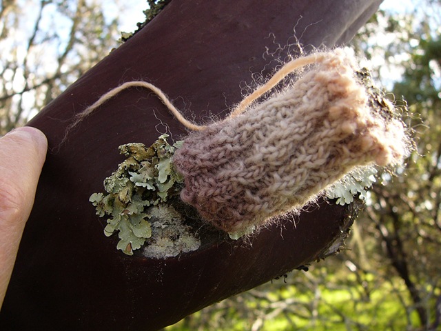 [yarnbomb2[2].jpg]