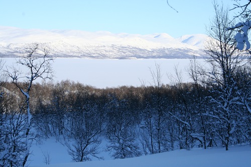 [IMG_98025.jpg]