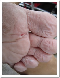 IMG_0518 IMG_0518