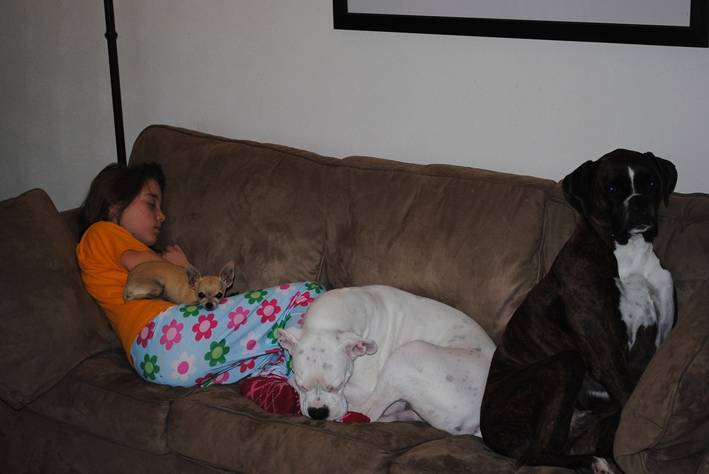 [DSC_0634[4].jpg]