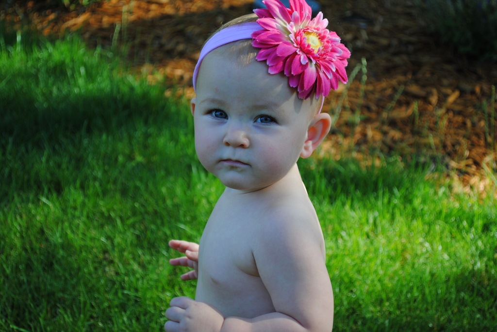 [DSC_0741[4].jpg]