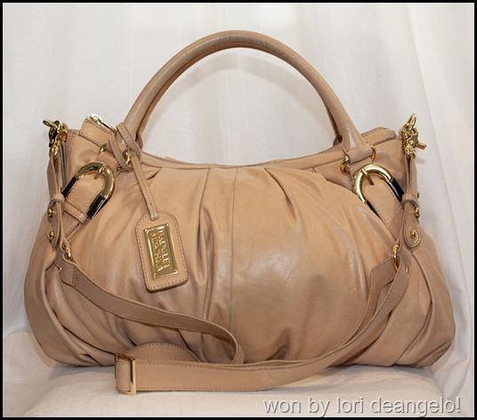 [Badgley Mischka Brigitte_thumb[1][10].jpg]