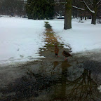 2010-12-22_08-59-48_494_Bad Nauheim.jpg