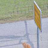 DSC_0209.JPG