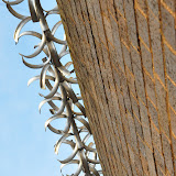 DSC_0166.JPG
