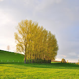 DSC_0186.jpg DSC_0186.jpg