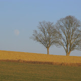moon-rising.JPG