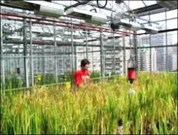 Phytotron Phytotron