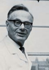 hans-krebs-cyles hans-krebs-cyles