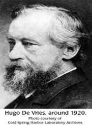 Hugo de Vries Hugo de Vries