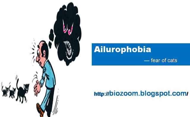 [ailurophobia1[8].jpg]