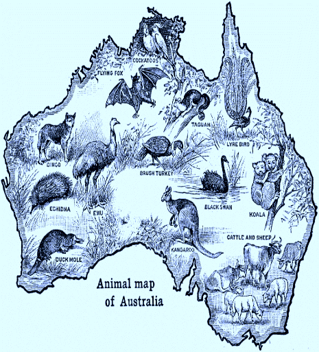 australia-zoogeography