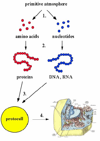 origin-of-life origin-of-life