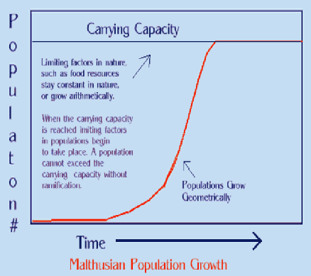 Essay population a human source