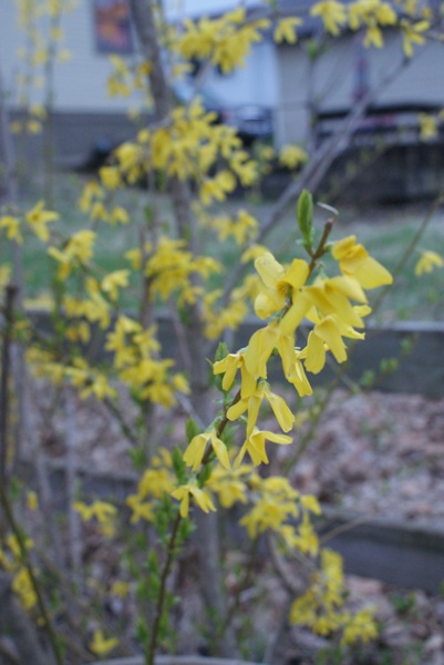 DSC01462.JPG DSC01462