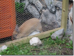 IMG_6382 IMG_6382