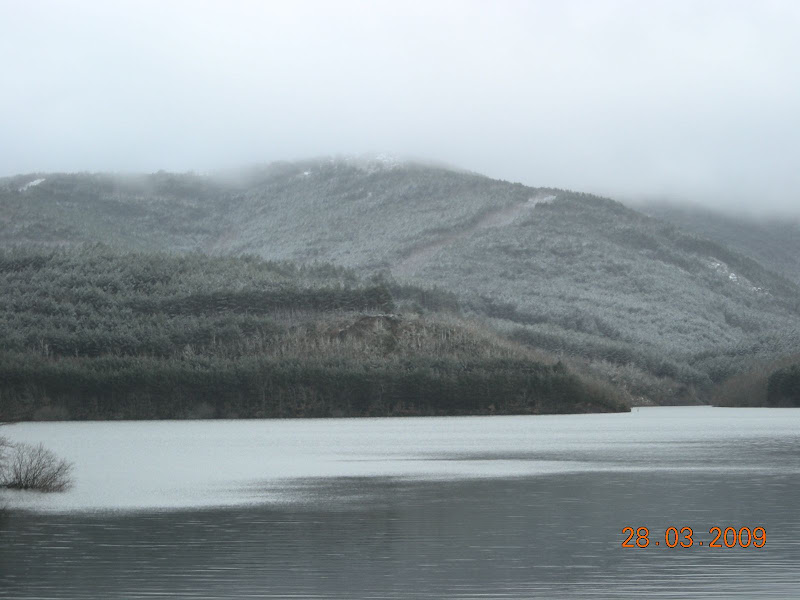 DSCN2943.JPG