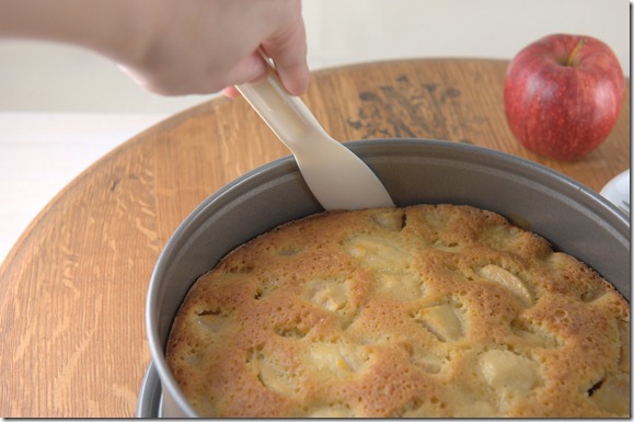 USE A THIN SPATULA TO LOOSEN THE CAKE BEFORE REMOVING