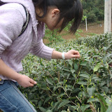 DSC07082.JPG