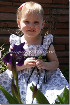 alexis iris 4x6 alexis iris 4x6