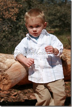 handsome two year old boy handsome two year old boy