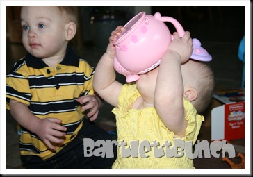 IMG_2366 IMG_2366