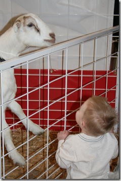IMG_4079 IMG_4079