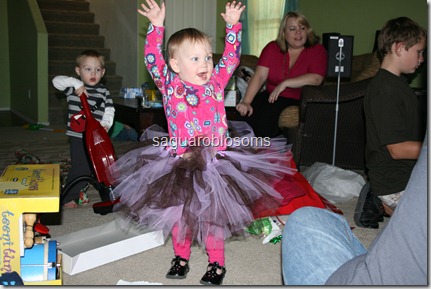 IMG_4255 IMG_4255