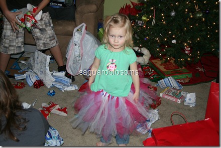 IMG_4244 IMG_4244
