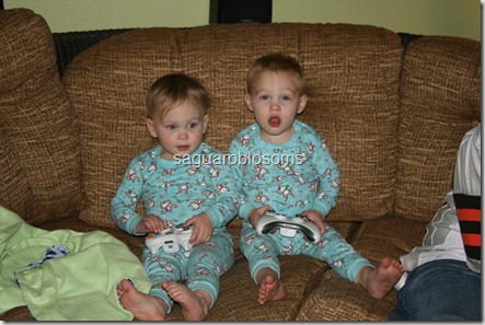 IMG_4262 IMG_4262