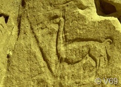 Encontrados 110 Petroglifos com mais de 2.700 anos em Nazca