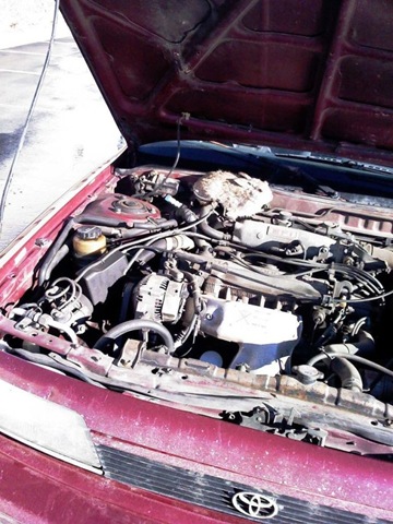 [surprise_in_car_043.jpg]