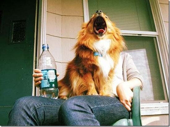 forced perspective pictures 3