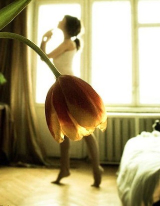 [forced perspective pictures 6[2].jpg]