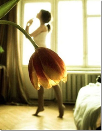 forced perspective pictures 6
