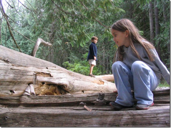 forced perspective pictures 10