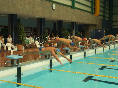 PISCINAVECNIDARIO