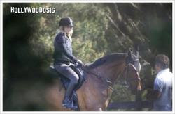 Madonna se cae otra vez de un caballo, culpa a los paparazzi y es hospitalizada Madonna se cae otra vez de un caballo, culpa a los paparazzi y es hospitalizada