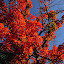 p1160484.jpg