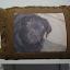 Rosie Photo Pillow by Debra Harvey