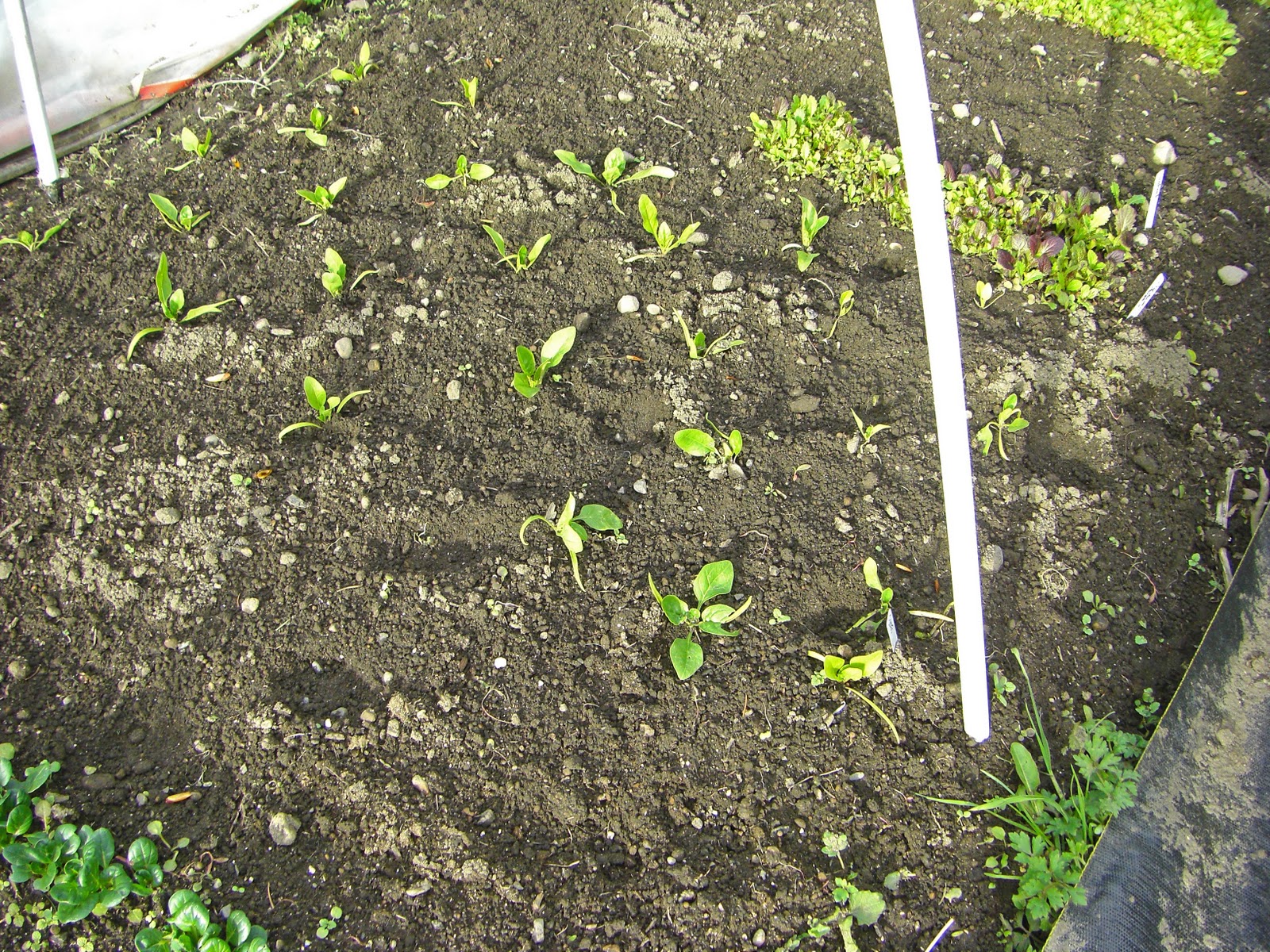 [CIMG8240_edited-1[3].jpg]