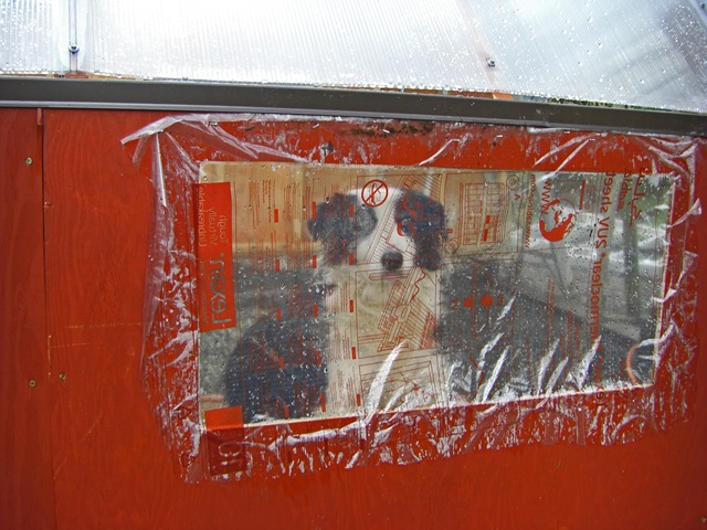 [CIMG8088_edited-1[5].jpg]