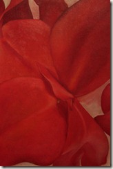 IMG_0006 IMG_0006
