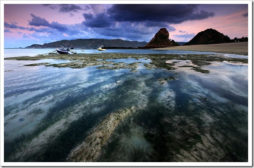 some_beautiful_pictures