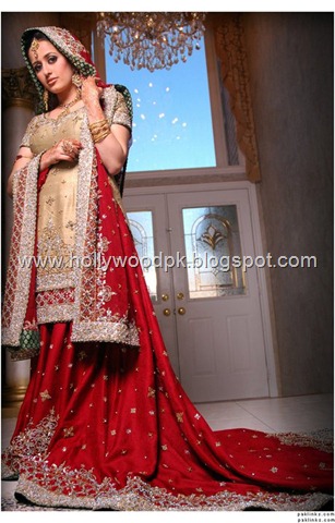 [pakistani bridial dresses lehnga choli poshak. mehendi design . pakistani gewellery. indian bride (4)[2].jpg]