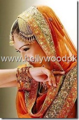 pakistani bridial dresses lehnga choli poshak. mehendi design . pakistani gewellery. indian bride (8)